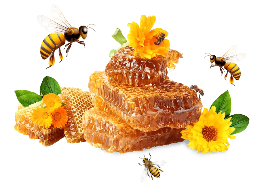 honeycomb