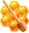 honey comb