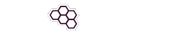 logowt
